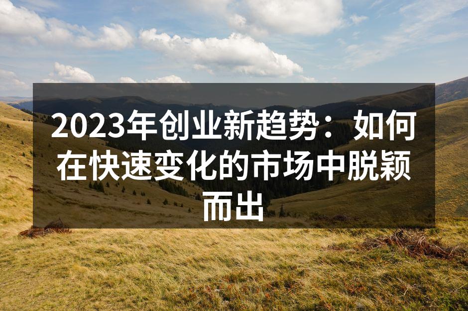 2023年创业新趋势：如何在快速变化的市场中脱颖而出