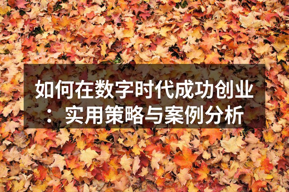 如何在数字时代成功创业：实用策略与案例分析